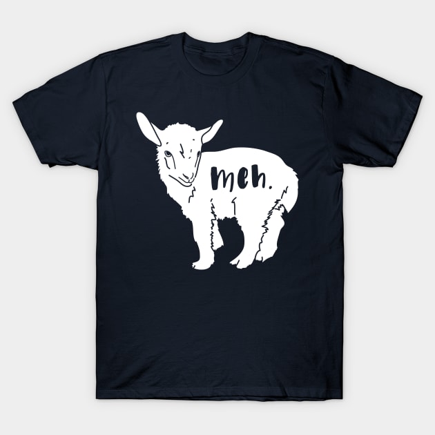 Baby Goat
